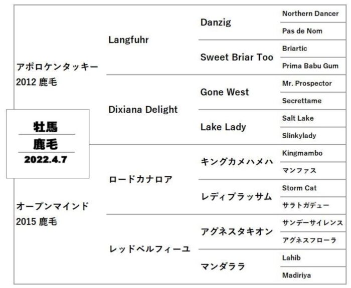 スゴイナスゴイデス 血統表